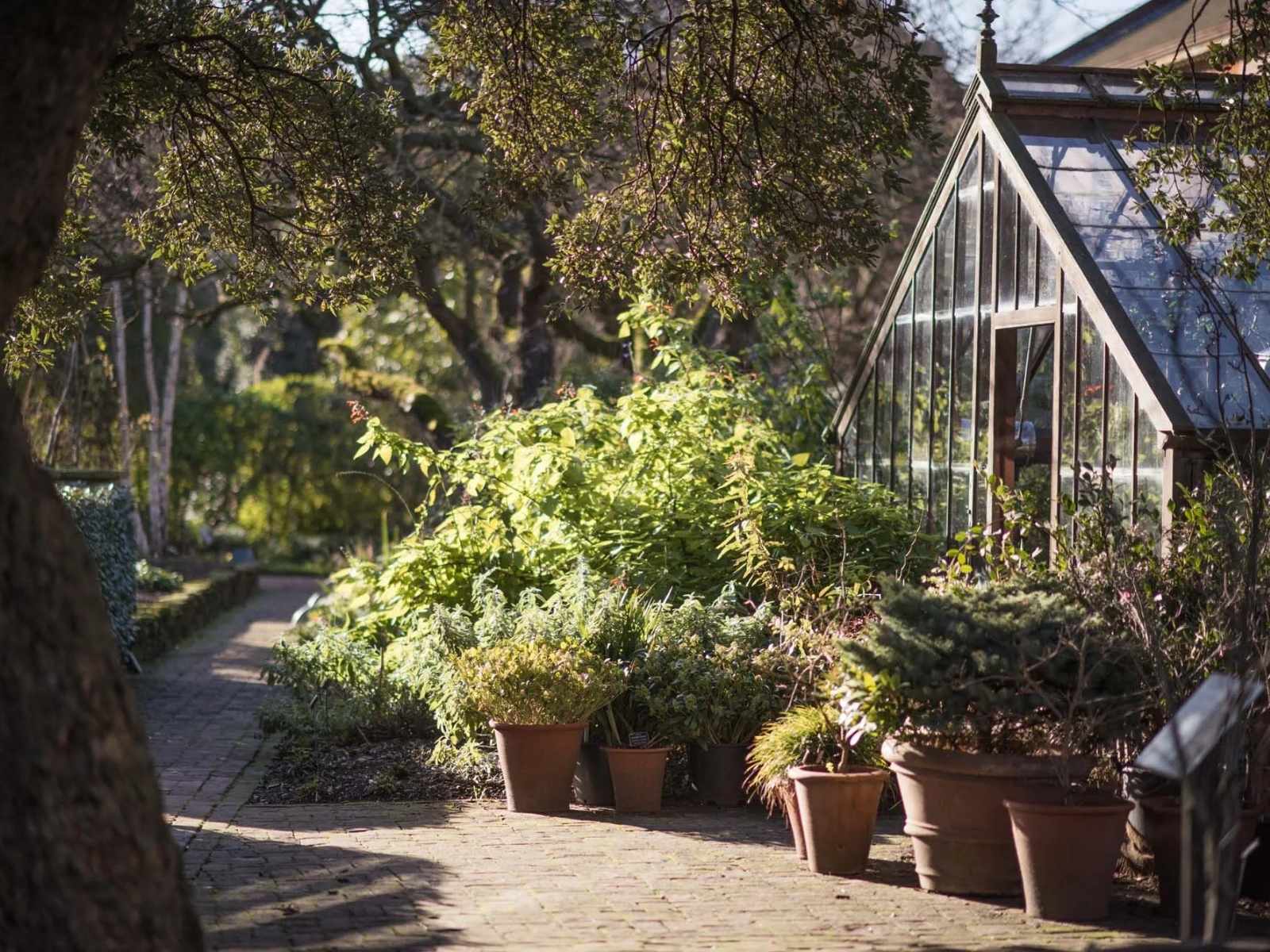 Chelsea Physic Garden